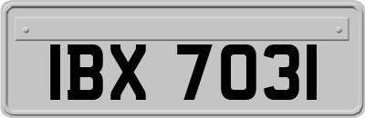 IBX7031