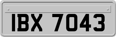 IBX7043