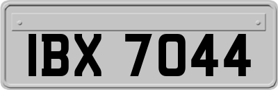 IBX7044
