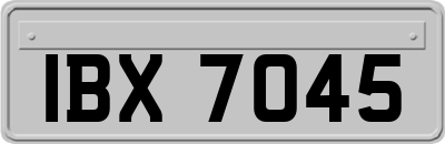IBX7045