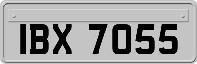 IBX7055