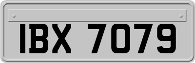IBX7079