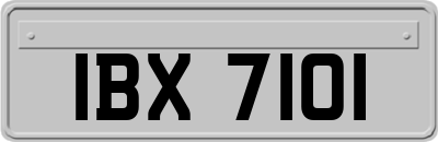 IBX7101