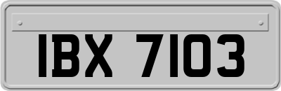 IBX7103