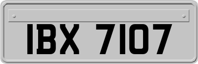 IBX7107