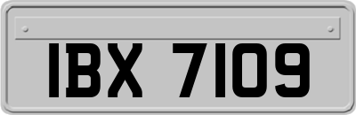 IBX7109