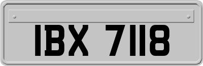 IBX7118
