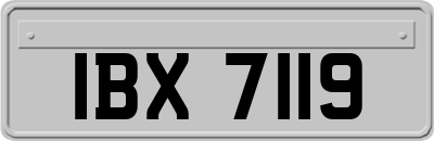 IBX7119