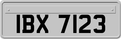 IBX7123