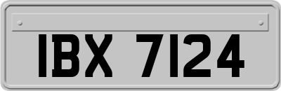 IBX7124