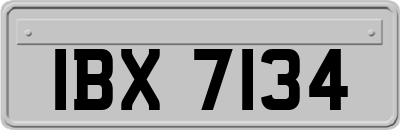 IBX7134