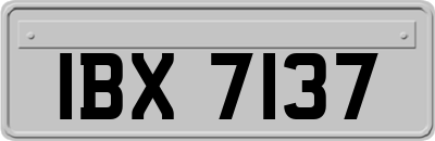 IBX7137