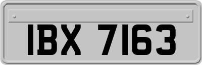 IBX7163