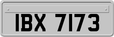 IBX7173