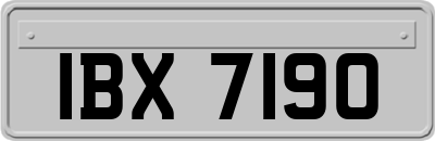 IBX7190