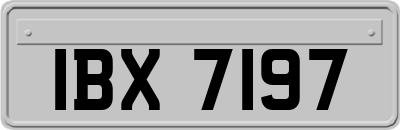 IBX7197