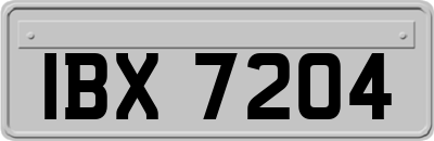 IBX7204