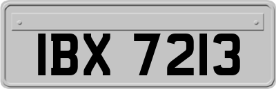 IBX7213