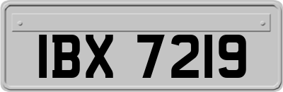 IBX7219