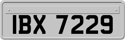 IBX7229