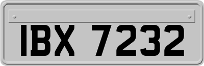 IBX7232