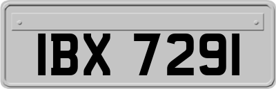 IBX7291