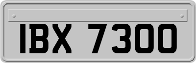 IBX7300