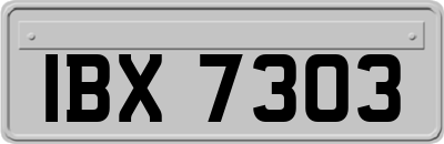 IBX7303
