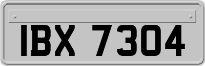 IBX7304