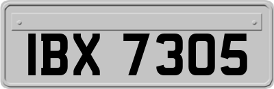 IBX7305