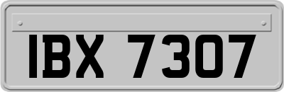 IBX7307