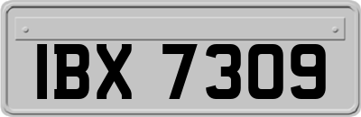 IBX7309