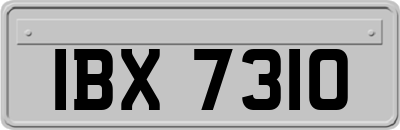 IBX7310
