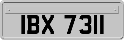 IBX7311