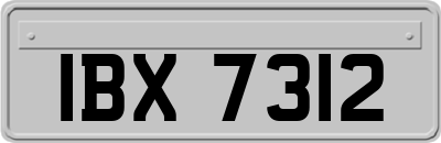 IBX7312