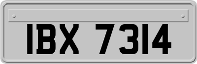 IBX7314
