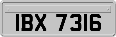IBX7316