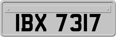 IBX7317