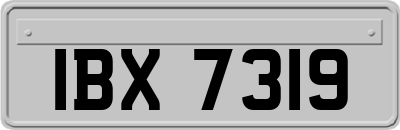 IBX7319