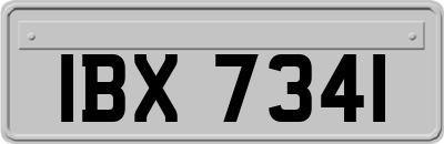 IBX7341