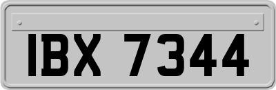 IBX7344