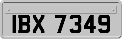 IBX7349