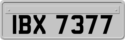 IBX7377
