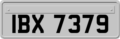 IBX7379