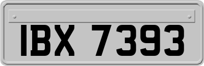 IBX7393