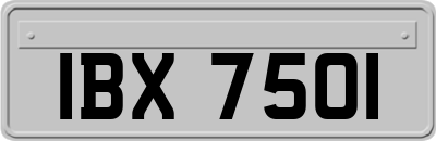IBX7501