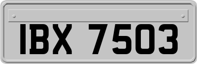 IBX7503