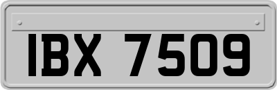 IBX7509