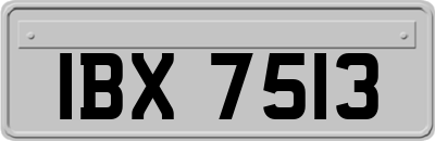 IBX7513