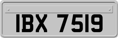 IBX7519